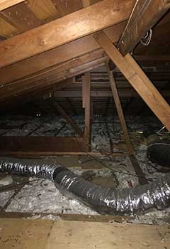 Inexpensive Attic Cleaning Near Blackhawk